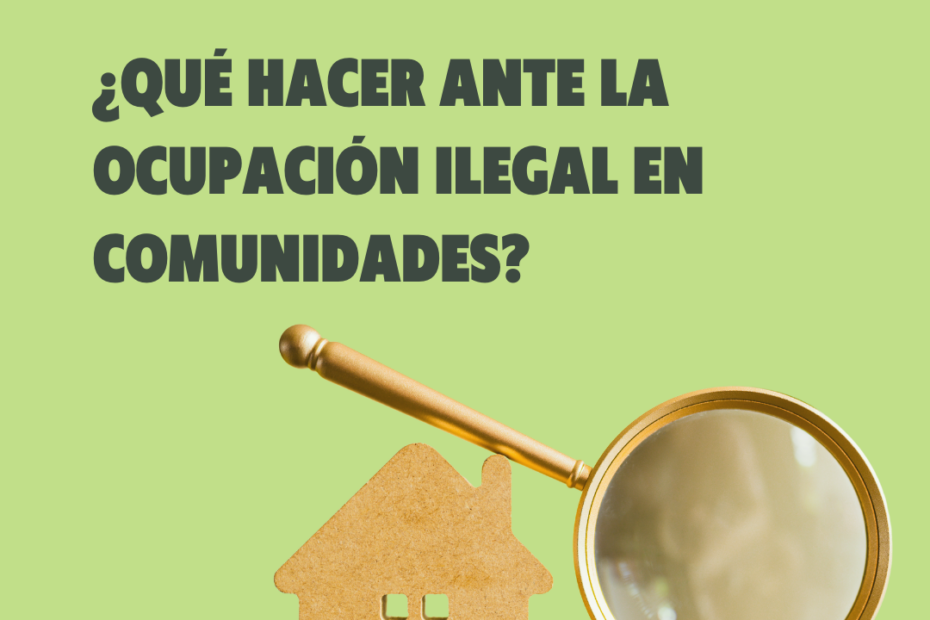 ocupacion ilegal palma